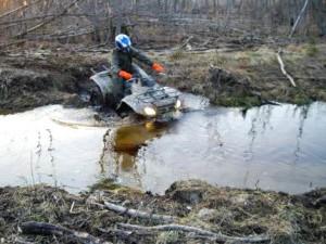 atv safari